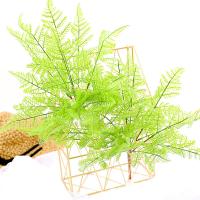 uploads/erp/collection/images/Home Garden/CongDing/XU0611519/img_b/XU0611519_img_b_1